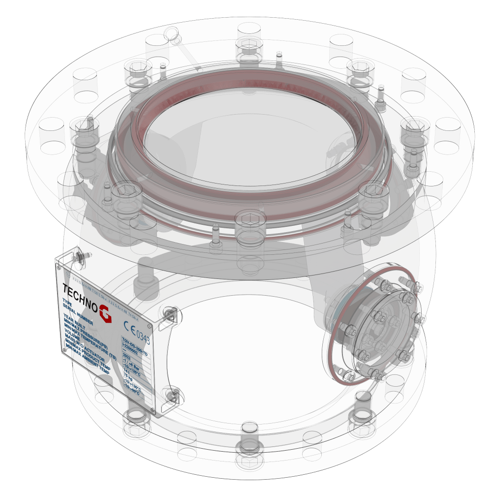 Inflatable seal TechnoG